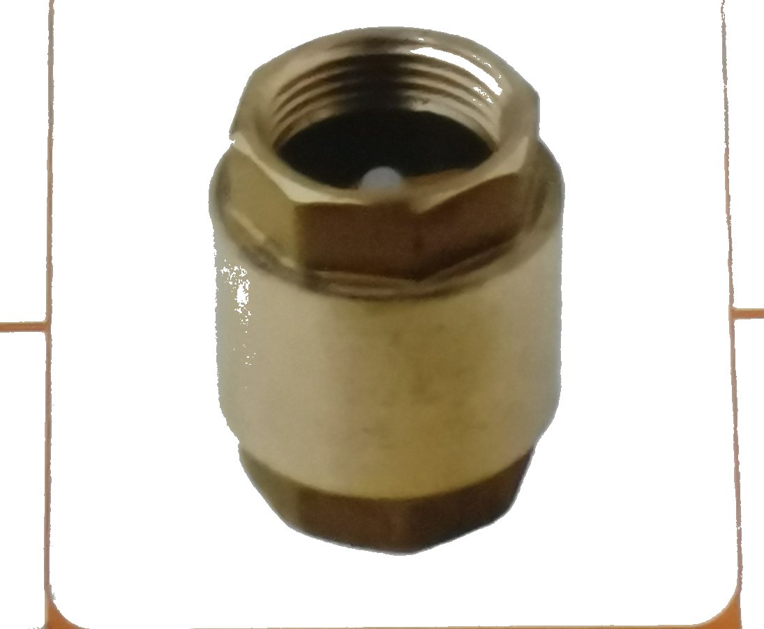 Spring Check Valve