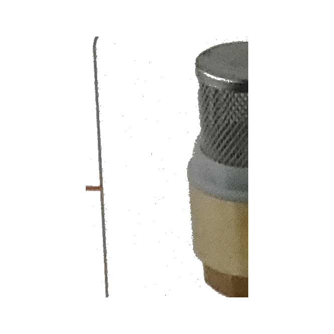 Brass Foot Valve