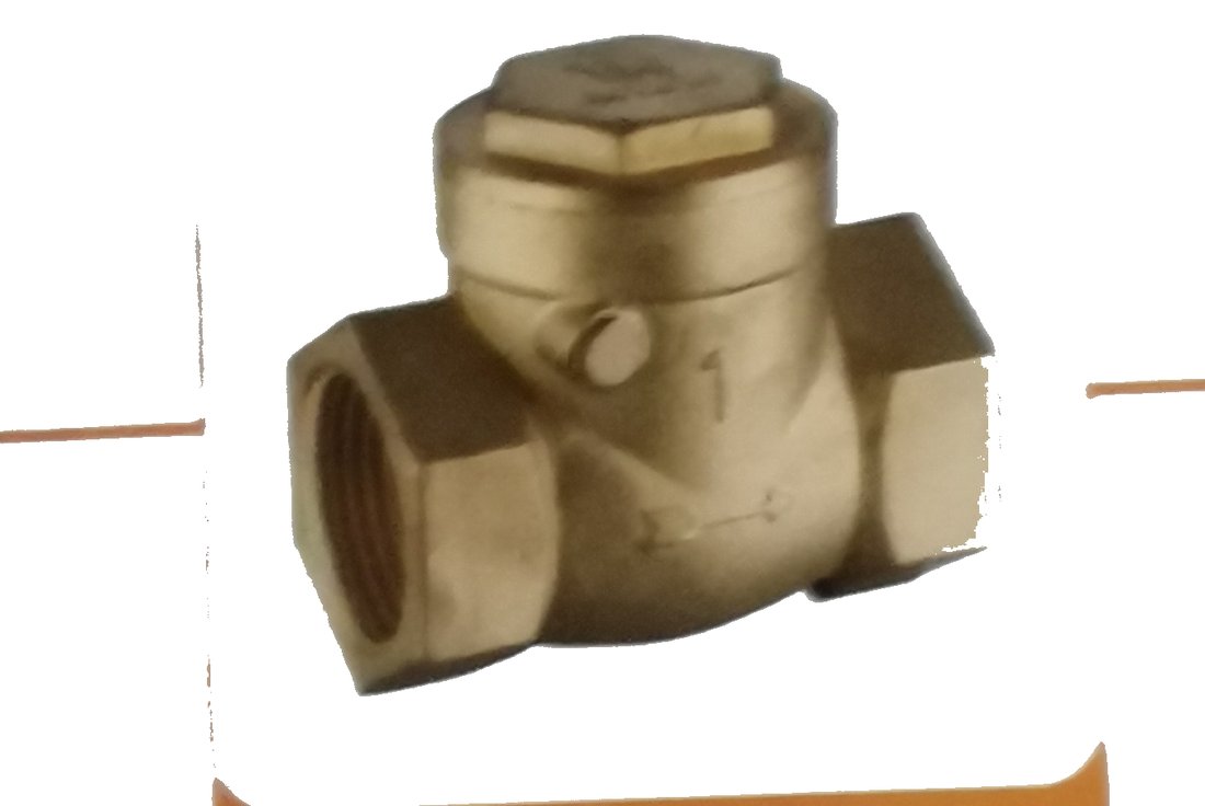 Swing Check Valve